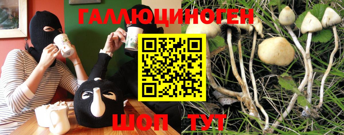 Псилоцибиновые грибы мицелий Москва
