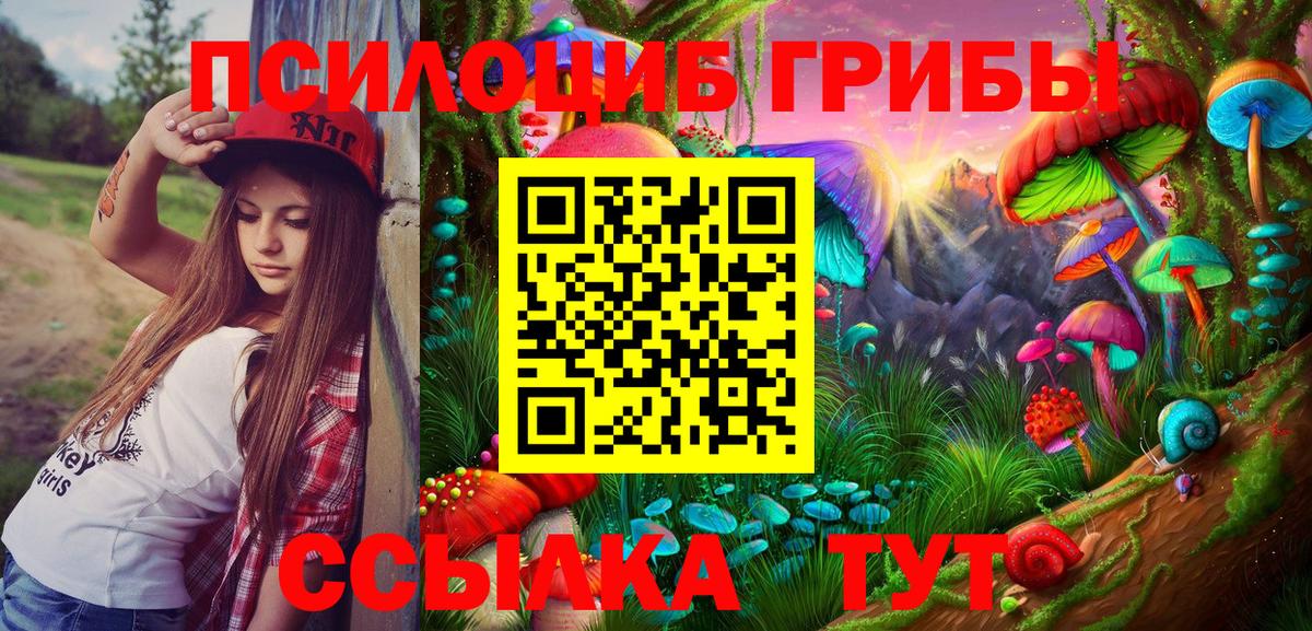 магазин  наркотиков  Вход с VPN  Москва  Псилоцибиновые грибы мицелий 